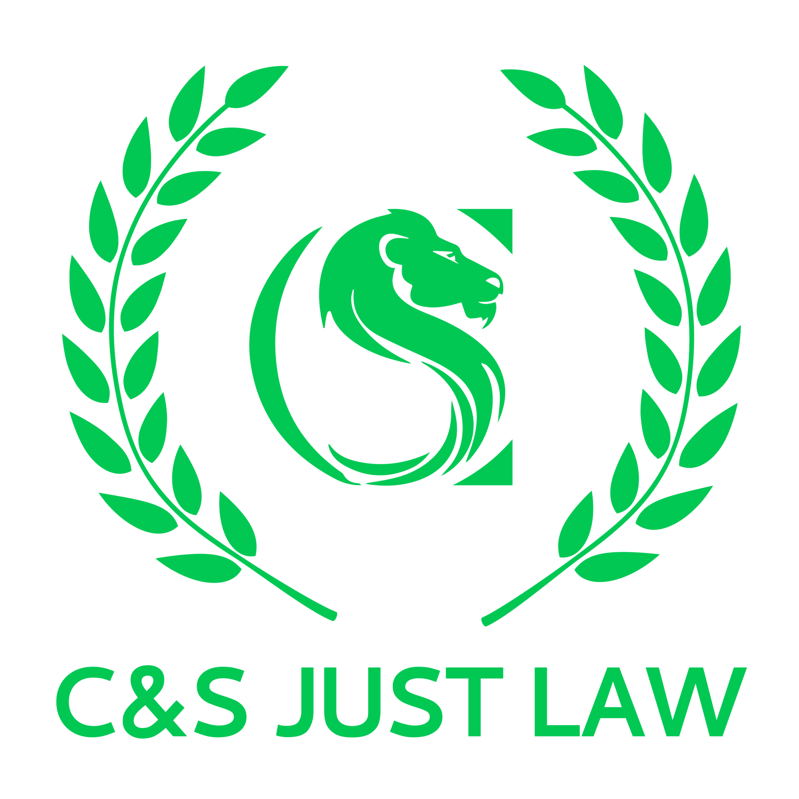 csjustlaw final icon
